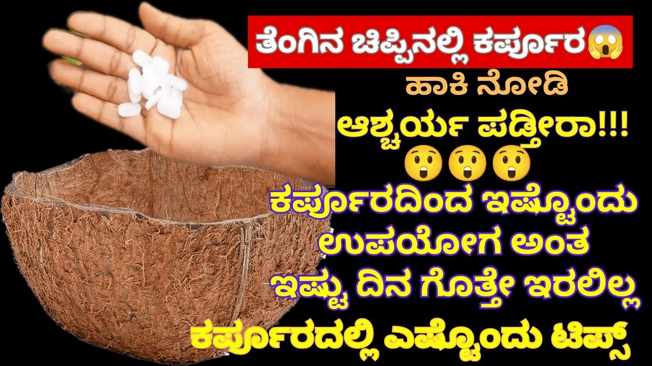 ತೆಂಗಿನ ಚಿಪ್ಪಿನಲ್ಲಿ ಕರ್ಪೂರ ಹಾಕಿ ನೋಡಿ.ಆಶ್ಚರ್ಯ ಪಡ್ತೀರಾ..ಕರ್ಪೂರದಿಂದ ಇಷ್ಟೊಂದು ಉಪಯೋಗ ಇದೆಯಾ