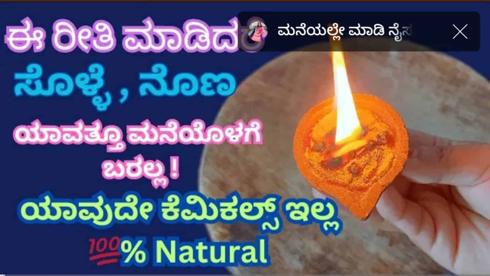 ಈ ರೀತಿ ಮಾಡಿದರೆ ಸೊಳ್ಳೆ ನೊಣ ಯಾವತ್ತೂ ಮನೆಯೊಳಗೆ ಬರೋದಿಲ್ಲ.ಯಾವುದೇ ಕೆಮಿಕಲ್ ಬಳಸದೆ ಮಾಡಬಹುದು