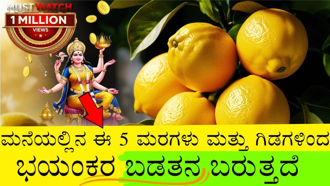 ಮನೆಯಲ್ಲಿನ ಈ 5 ಮರಗಳು ಗಿಡಗಳಿಂದ ಭಯಂಕರ ಬಡತನ ಬರುತ್ತದೆ..ತಕ್ಷಣ ಕಿತ್ತು ಎಸೆಯಿರಿ